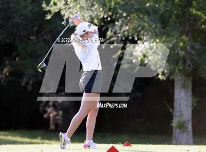 Thumbnail 3 in UIL 2A Golf State Championship photogallery.