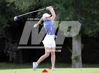 Thumbnail 2 in UIL 2A Golf State Championship photogallery.