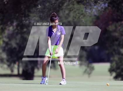 Thumbnail 3 in UIL 2A Golf State Championship photogallery.