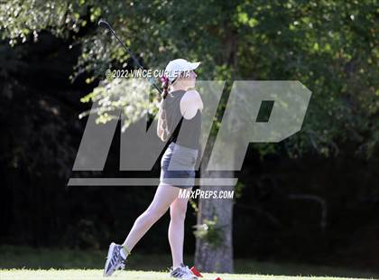 Thumbnail 2 in UIL 2A Golf State Championship photogallery.