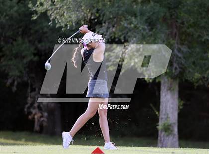 Thumbnail 1 in UIL 2A Golf State Championship photogallery.