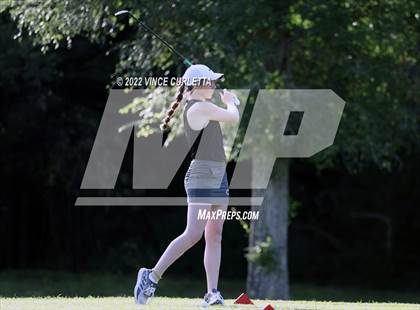Thumbnail 2 in UIL 2A Golf State Championship photogallery.