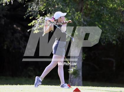 Thumbnail 1 in UIL 2A Golf State Championship photogallery.