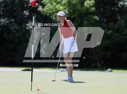 Thumbnail 2 in UIL 2A Golf State Championship photogallery.