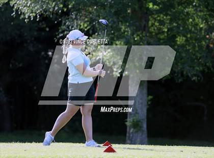 Thumbnail 3 in UIL 2A Golf State Championship photogallery.