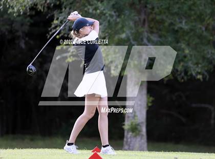 Thumbnail 3 in UIL 2A Golf State Championship photogallery.