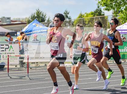 Thumbnail 1 in Bryan Bradley Viking Track Classic (800m) photogallery.