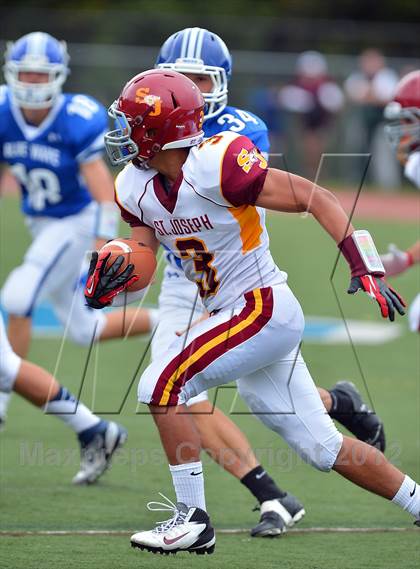 Thumbnail 3 in St. Joseph @ Darien photogallery.