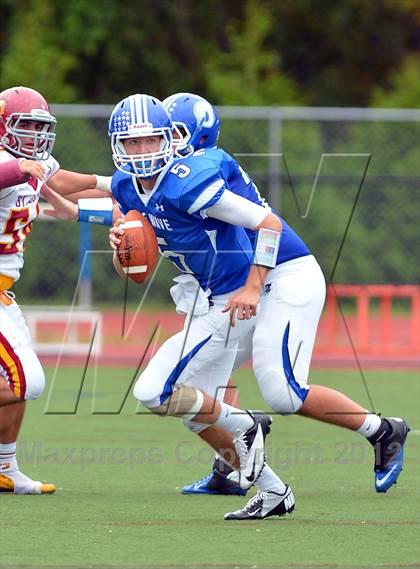 Thumbnail 3 in St. Joseph @ Darien photogallery.