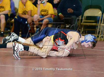 Thumbnail 1 in Placer Duals photogallery.