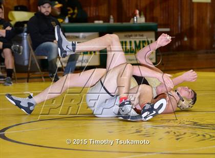 Thumbnail 1 in Placer Duals photogallery.