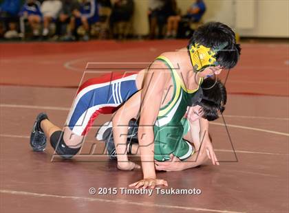 Thumbnail 1 in Placer Duals photogallery.