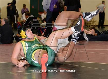 Thumbnail 1 in Placer Duals photogallery.