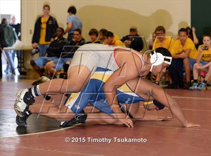 Thumbnail 2 in Placer Duals photogallery.