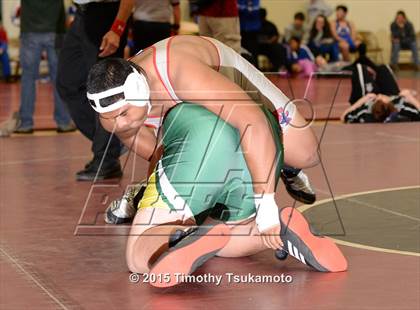 Thumbnail 2 in Placer Duals photogallery.