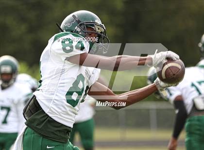 Thumbnail 3 in Cordova @ Pearl-Cohn photogallery.