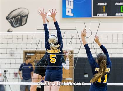 Thumbnail 3 in Bloomingdale @ Steinbrenner photogallery.