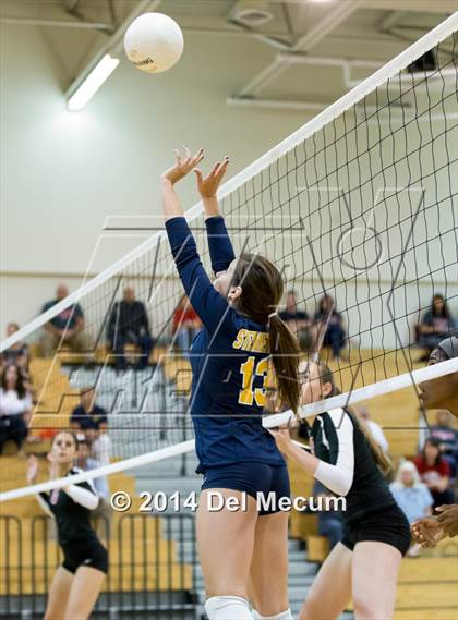 Thumbnail 1 in Bloomingdale @ Steinbrenner photogallery.