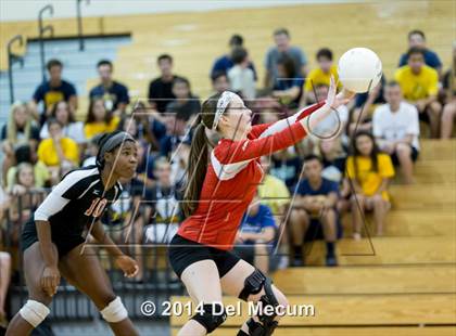 Thumbnail 1 in Bloomingdale @ Steinbrenner photogallery.