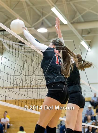 Thumbnail 3 in Bloomingdale @ Steinbrenner photogallery.