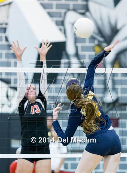 Thumbnail 2 in Bloomingdale @ Steinbrenner photogallery.