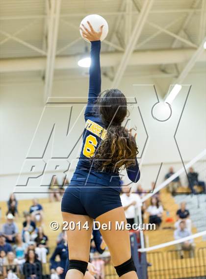 Thumbnail 1 in Bloomingdale @ Steinbrenner photogallery.