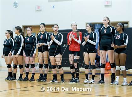 Thumbnail 2 in Bloomingdale @ Steinbrenner photogallery.