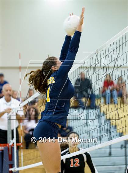 Thumbnail 3 in Bloomingdale @ Steinbrenner photogallery.