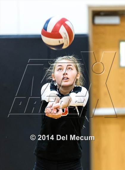 Thumbnail 2 in Bloomingdale @ Steinbrenner photogallery.