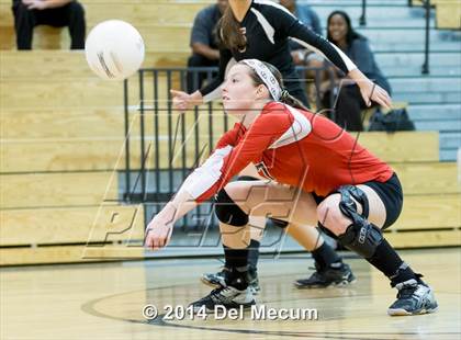 Thumbnail 3 in Bloomingdale @ Steinbrenner photogallery.