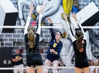 Thumbnail 3 in Bloomingdale @ Steinbrenner photogallery.