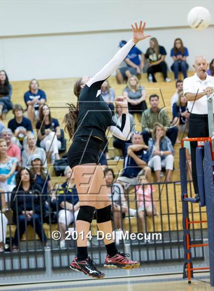 Thumbnail 3 in Bloomingdale @ Steinbrenner photogallery.