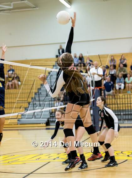 Thumbnail 3 in Bloomingdale @ Steinbrenner photogallery.
