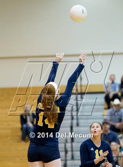 Thumbnail 1 in Bloomingdale @ Steinbrenner photogallery.