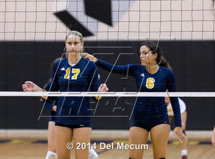 Thumbnail 2 in Bloomingdale @ Steinbrenner photogallery.