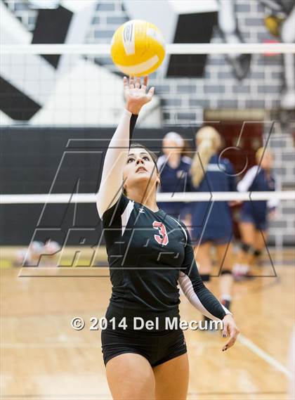 Thumbnail 1 in Bloomingdale @ Steinbrenner photogallery.