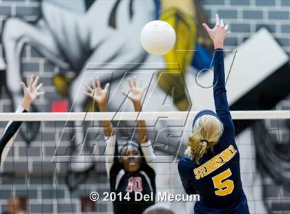 Thumbnail 1 in Bloomingdale @ Steinbrenner photogallery.