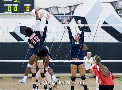 Thumbnail 1 in Bloomingdale @ Steinbrenner photogallery.