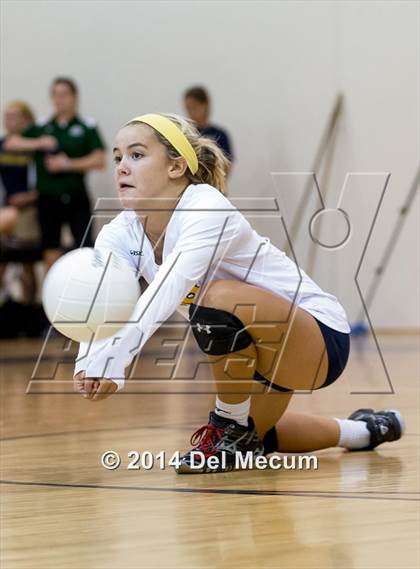Thumbnail 1 in Bloomingdale @ Steinbrenner photogallery.