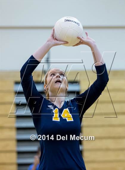 Thumbnail 1 in Bloomingdale @ Steinbrenner photogallery.