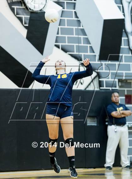 Thumbnail 2 in Bloomingdale @ Steinbrenner photogallery.
