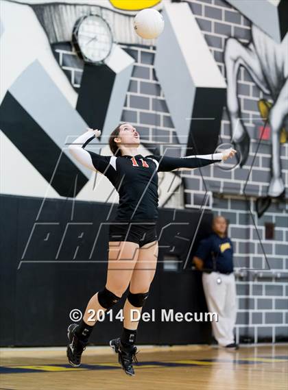 Thumbnail 3 in Bloomingdale @ Steinbrenner photogallery.