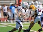 Photo from the gallery "Golden @ Thomas Jefferson"