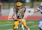 Photo from the gallery "Golden @ Thomas Jefferson"