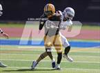 Photo from the gallery "Golden @ Thomas Jefferson"