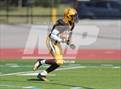 Photo from the gallery "Golden @ Thomas Jefferson"
