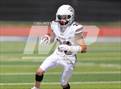 Photo from the gallery "Golden @ Thomas Jefferson"