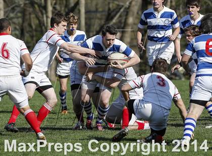 Thumbnail 2 in Darien @ Fairfield Prep photogallery.