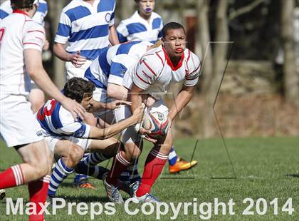 Thumbnail 2 in Darien @ Fairfield Prep photogallery.