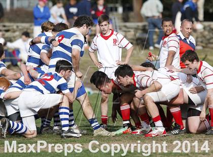 Thumbnail 3 in Darien @ Fairfield Prep photogallery.